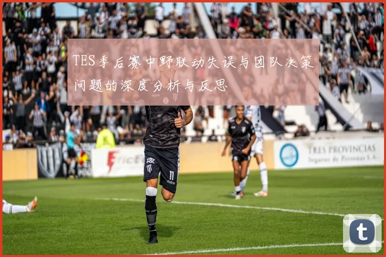 TES季后赛中野联动失误与团队决策问题的深度分析与反思